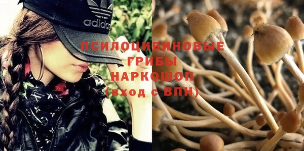таблы Алзамай