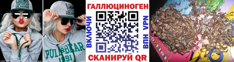 нарко площадка телеграм  Старая Купавна  Галлюциногенные грибы Psilocybine cubensis 